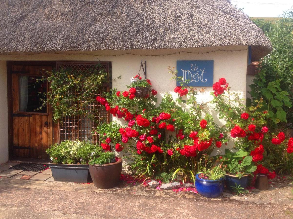 The Nest - Thatched Seaside Country Cottage For Two Stokeinteignhead Exterior foto