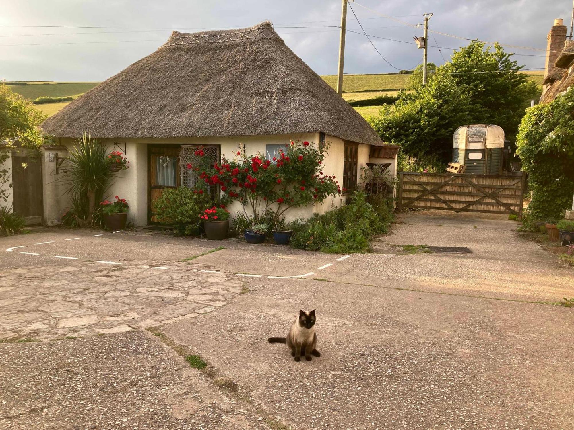 The Nest - Thatched Seaside Country Cottage For Two Stokeinteignhead Exterior foto